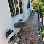Casa Antonia 科斯蒂内什蒂