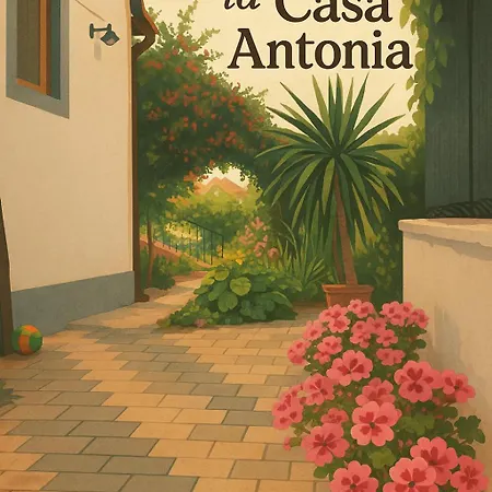 Casa Antonia 科斯蒂内什蒂