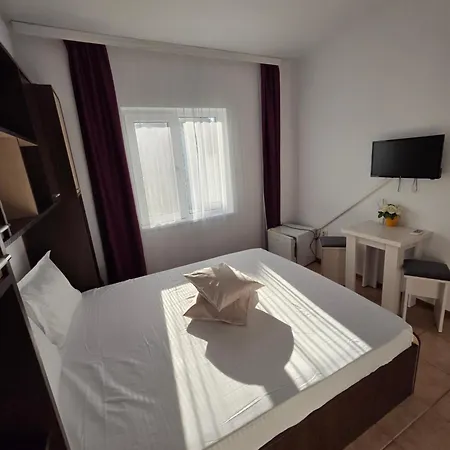 Casa Antonia 3* 科斯蒂内什蒂
