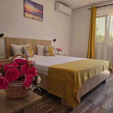 招待所 Casa Antonia 科斯蒂内什蒂